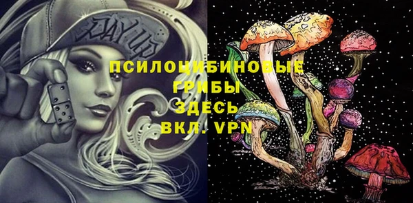 соль ск Балабаново
