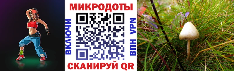 Псилоцибиновые грибы Psilocybine cubensis  Купить закладки  Полевской 